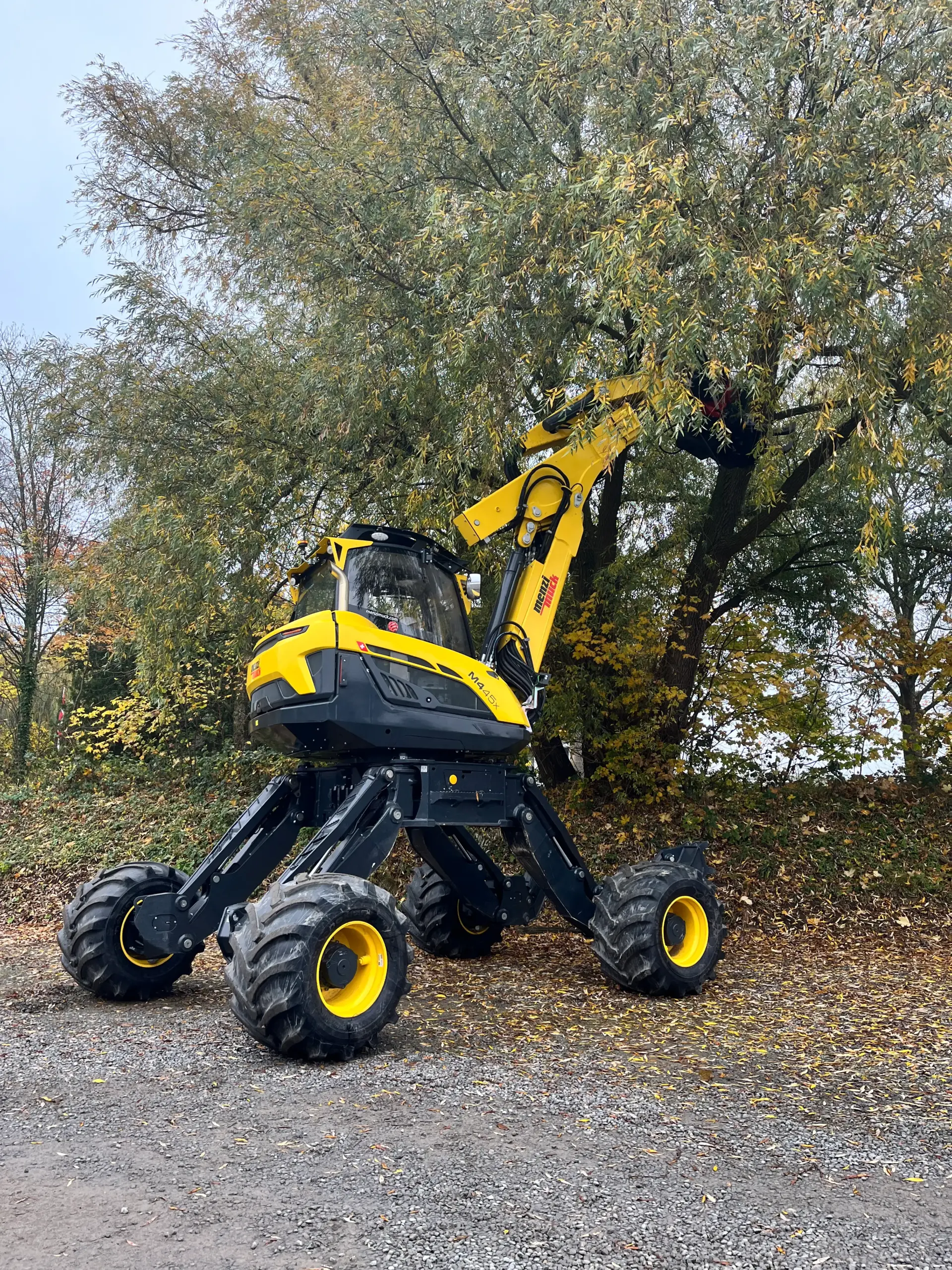 Hoch aufgestellter gelber Menzi Muck M445x Schreitbagger bei Pflegearbeiten im Kronenbereich eines Baumes.